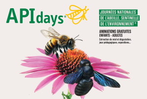 APIdays